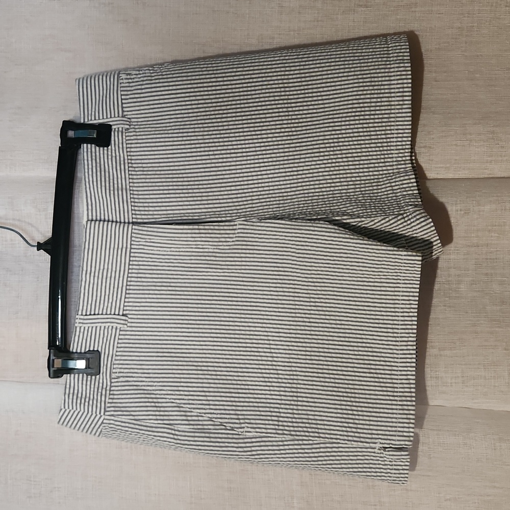 Blue/white Pintripe Size 6 Loft shorts